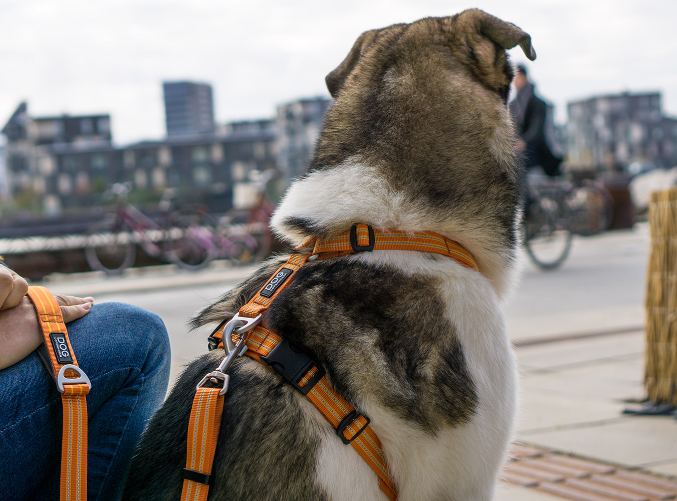 Comfort Walk Air Harness Mocca XL (Dog Copenhagen)