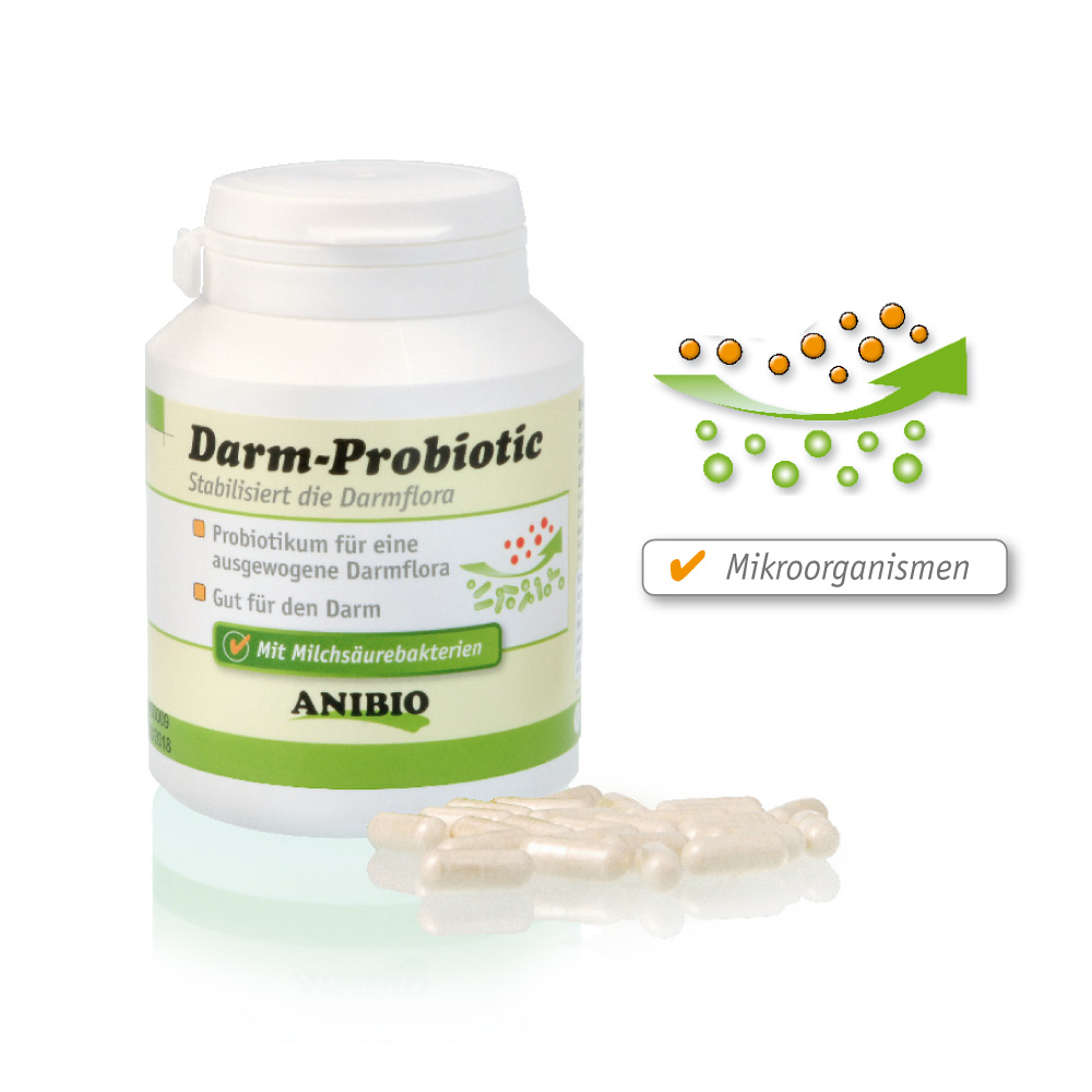 Darm-probiotic 120 Kapseln