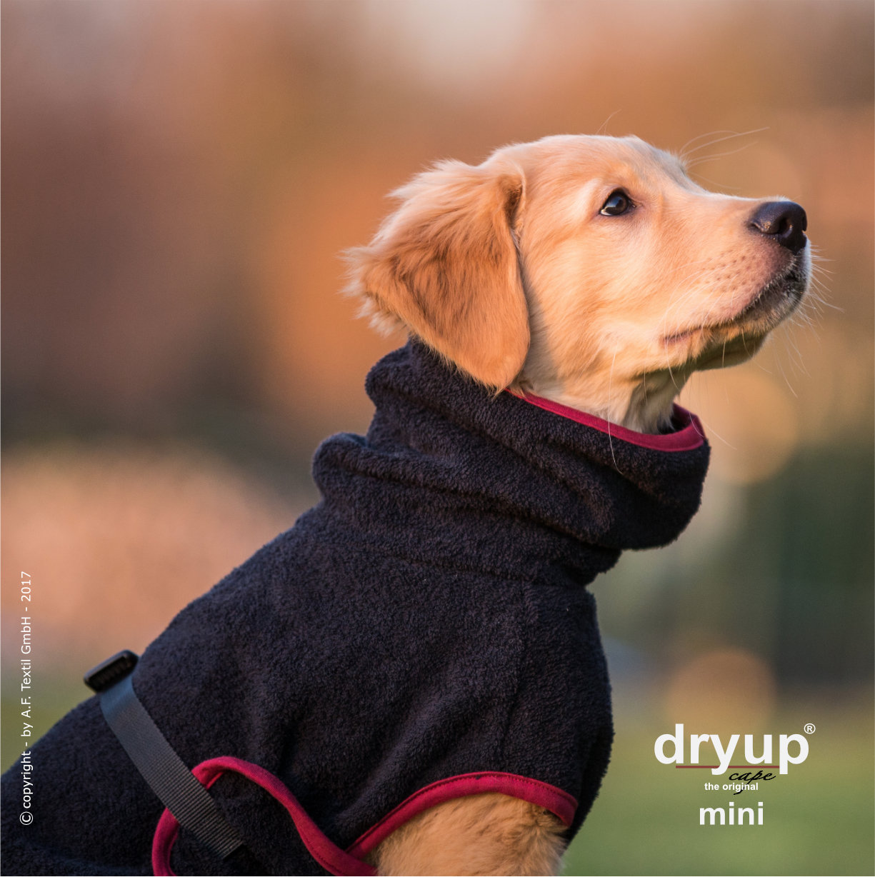 Dryup Cape L 65cm black