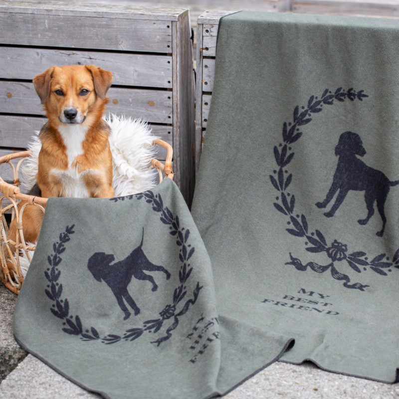 David Fussenegger Haustierdecke my "best friend"