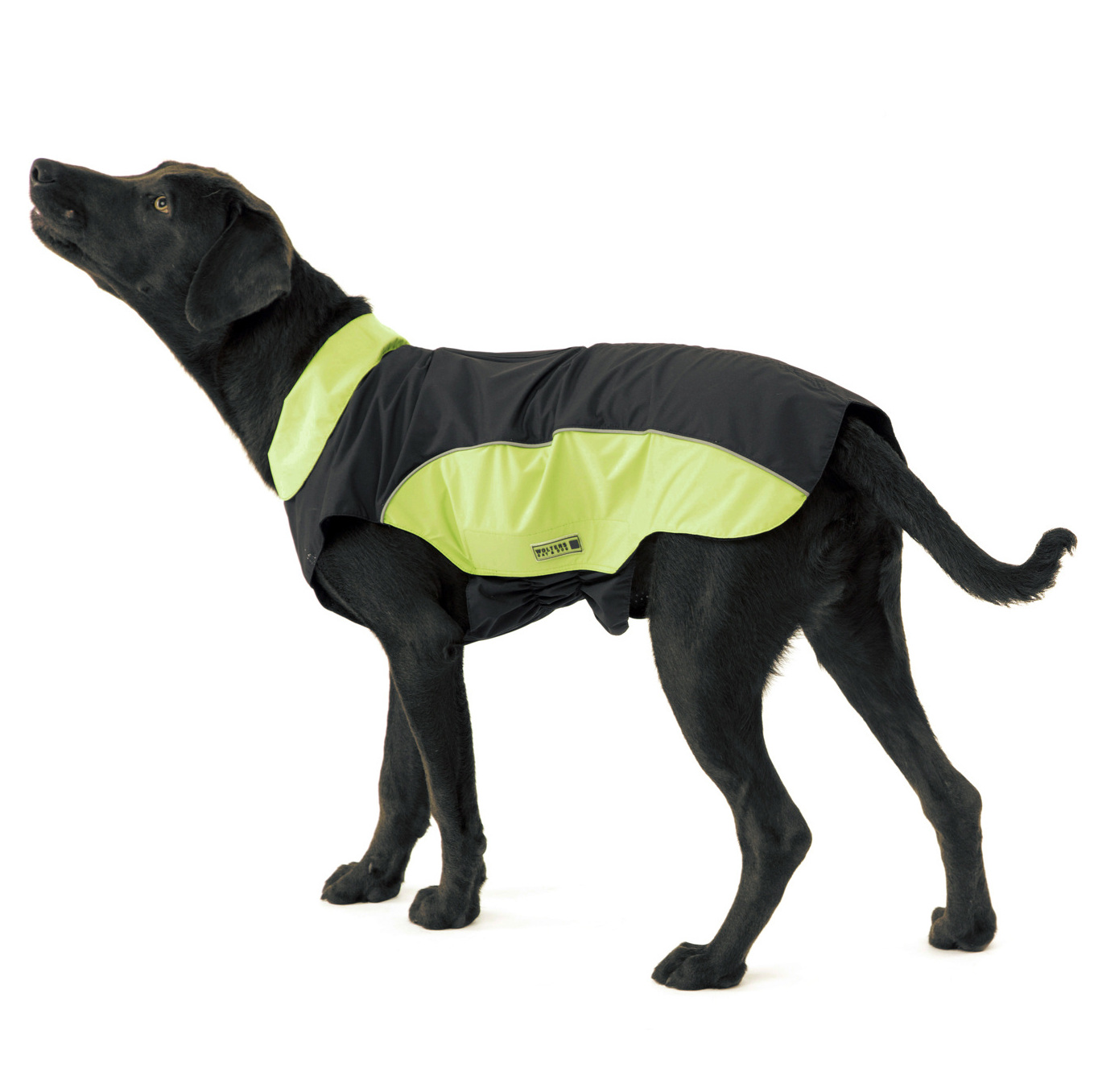 Regenjacke_Easy_Rain_-_schwarz-limone1 Regenjacke Easy Rain 34cm schwarz/schwarz