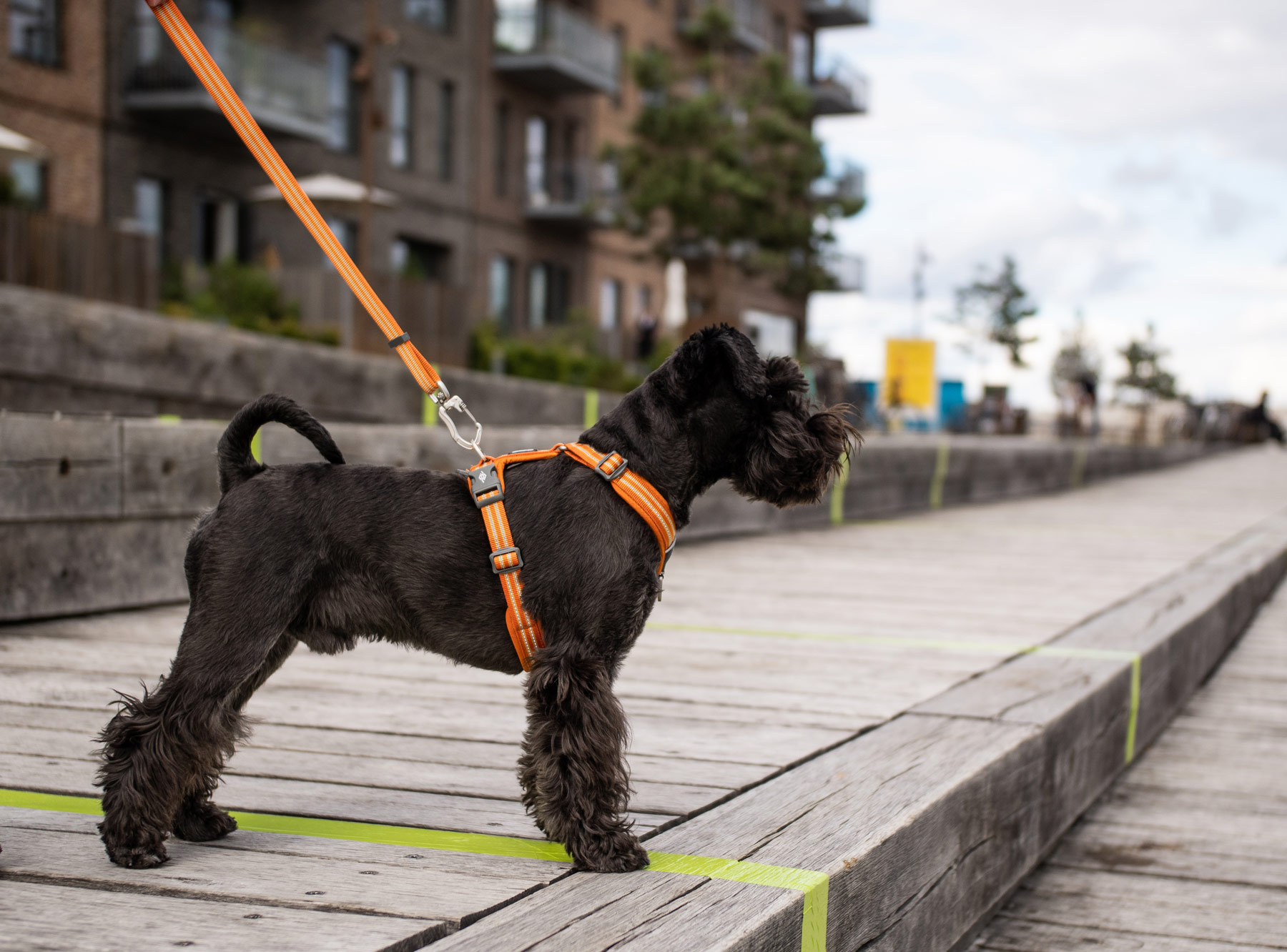 Urban Freestyle Leash Mocca S (Dog Copenhagen)