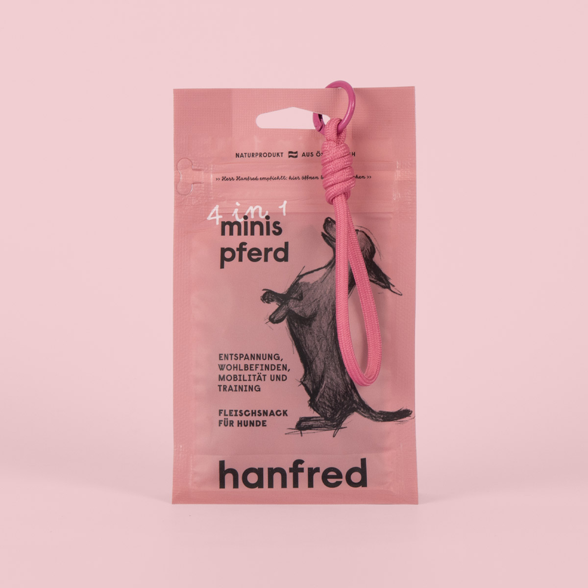 hanfred 4in1 Minis Pferd – Fashionable Edition