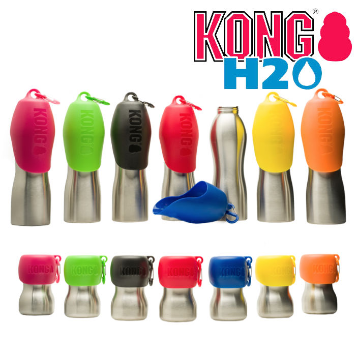 KONG H2O Wasserflasche silber / blau 0,28l