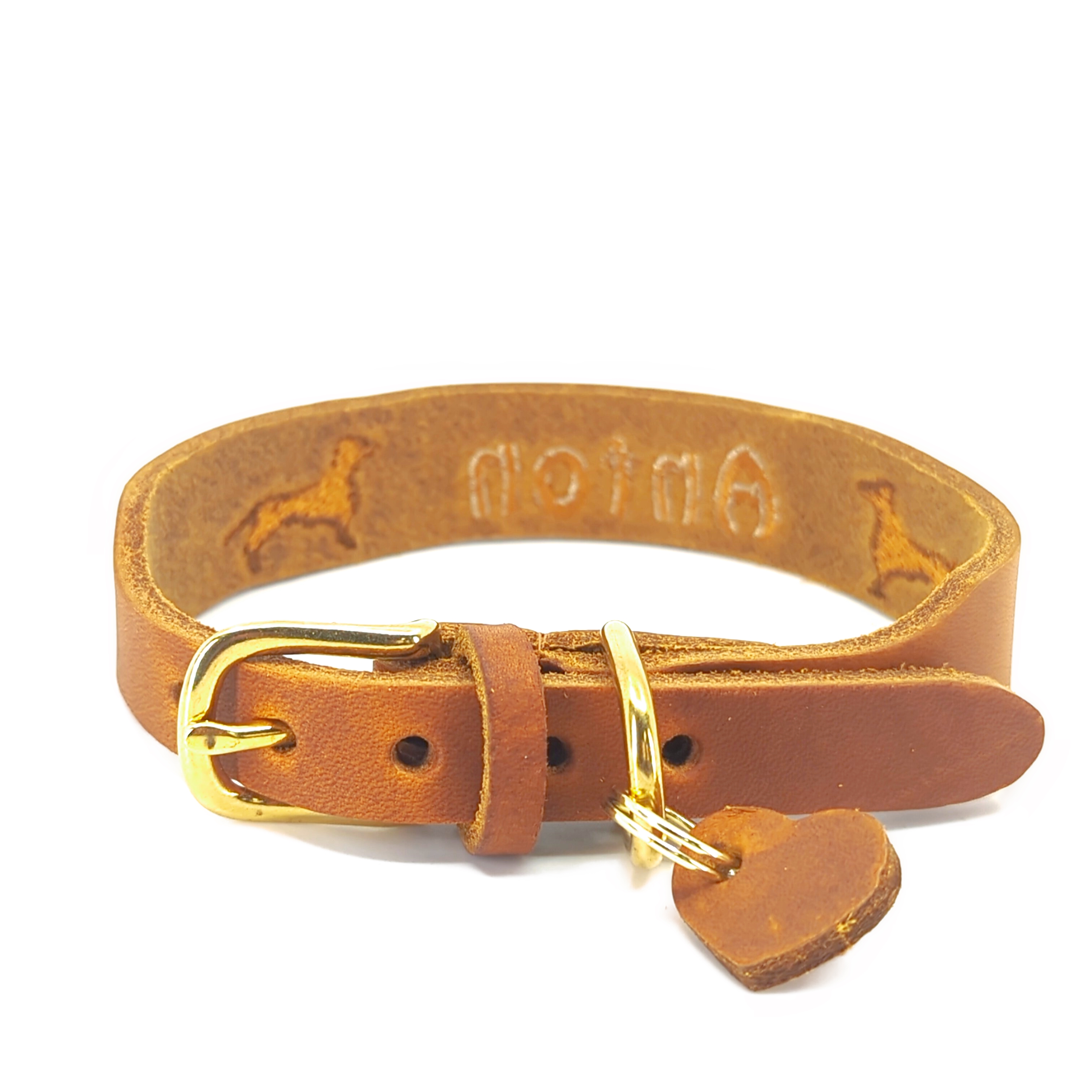 Dackelhalsband No.1 Dackelhalsband No.1