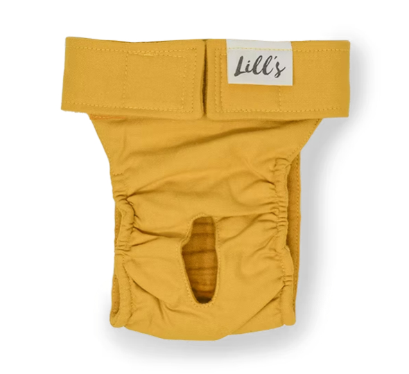Läufigkeitshöschen aus Bio-Baumwolle „Lou“