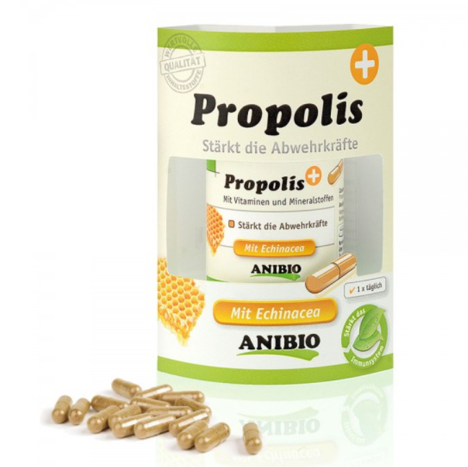 Propolis 60 Kapseln