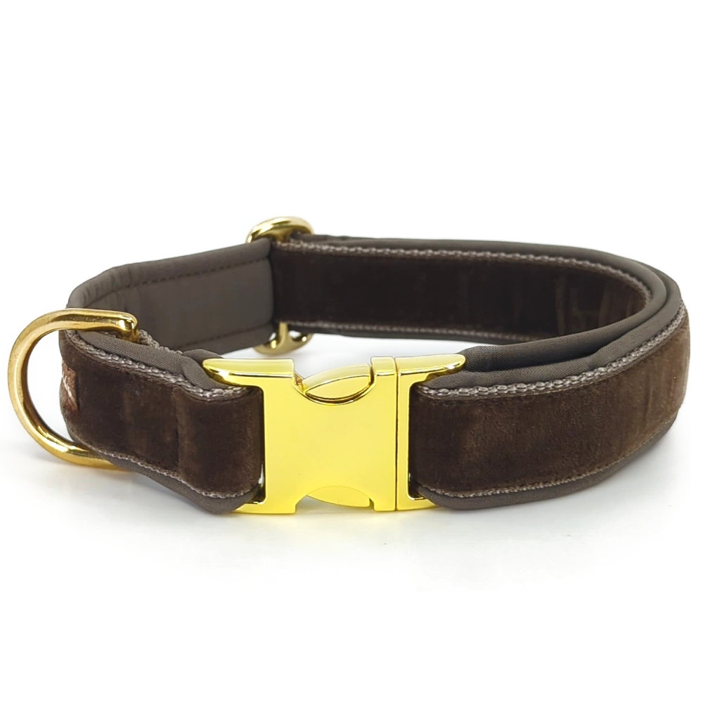 Halsband SAMT Toffee