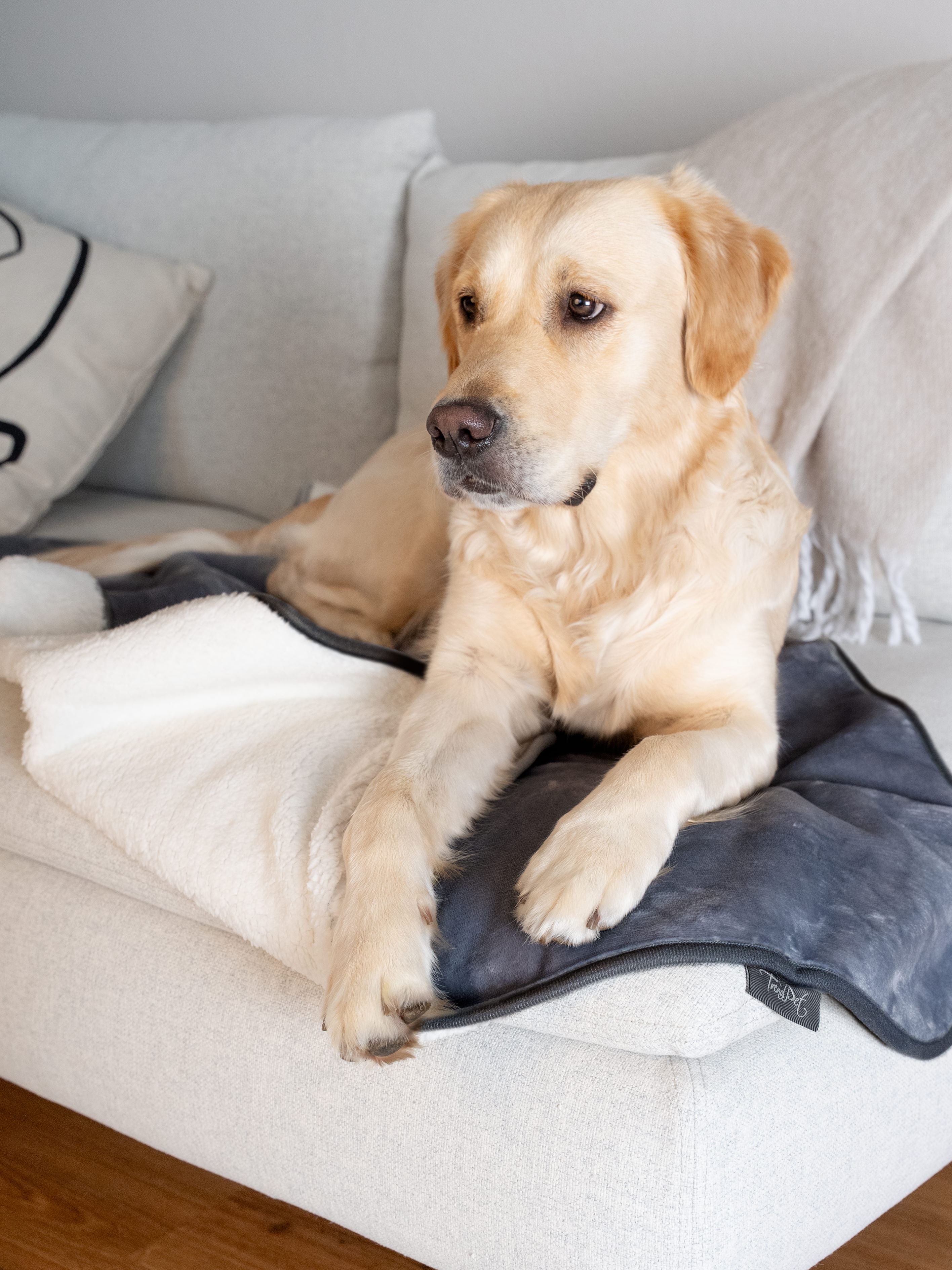 Pearl - wasserdichte Decke