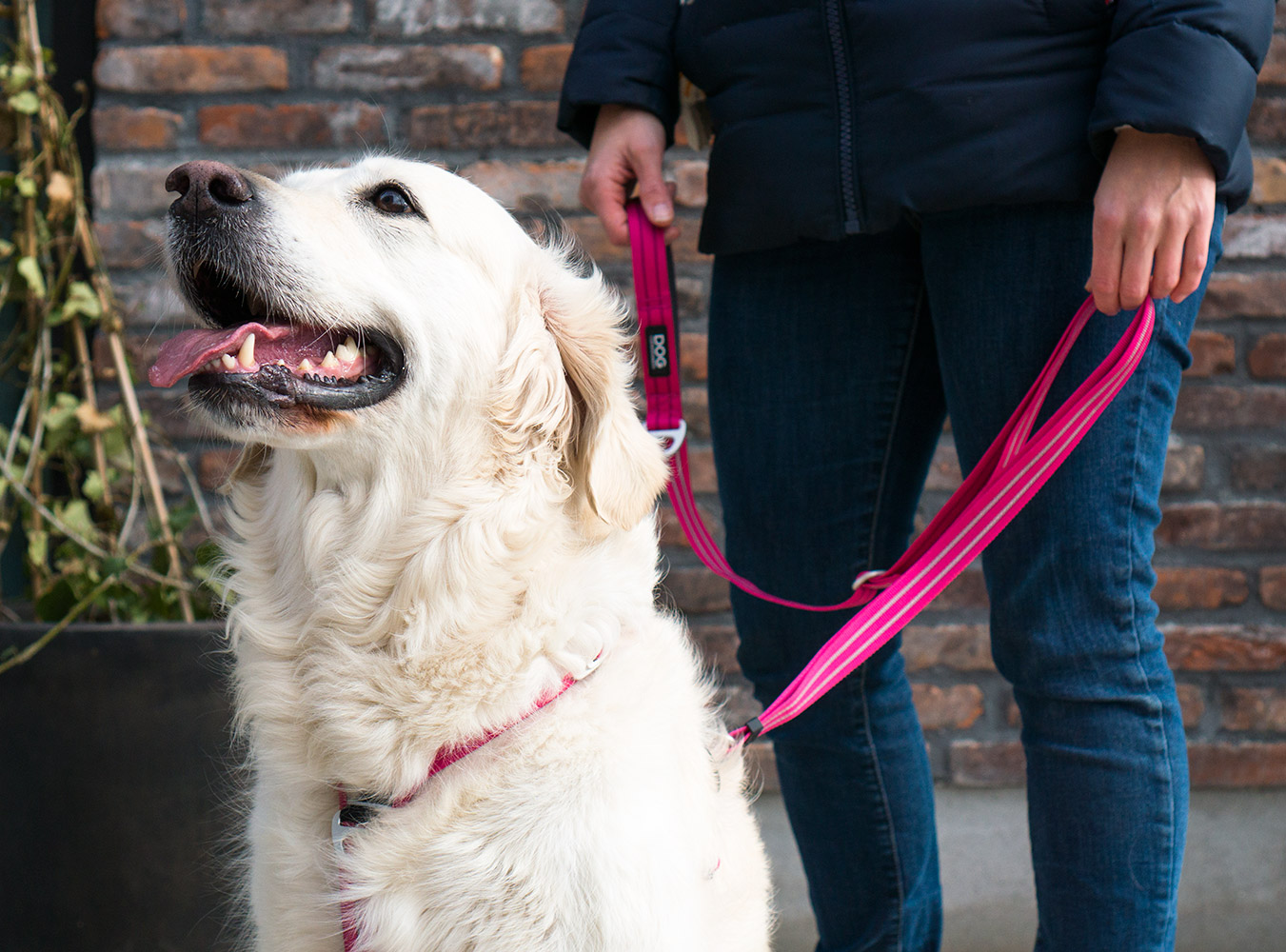 Urban Freestyle Leash Classic Red S (Dog Copenhagen)