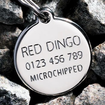 Red Dingo Hundemarke Edelstahl mit Gravur