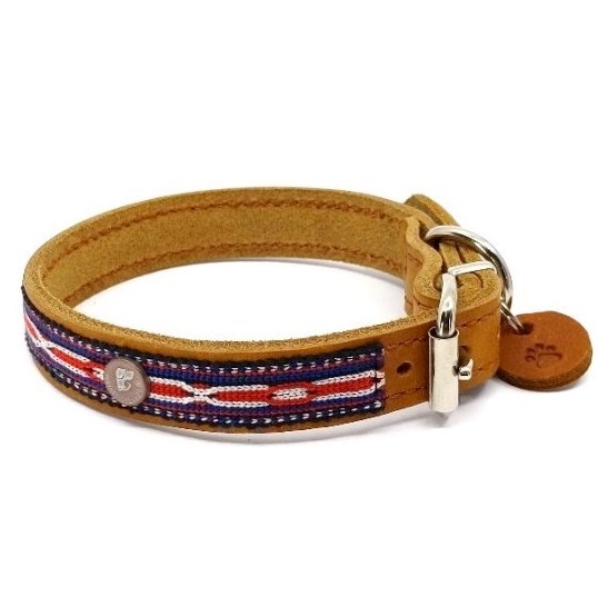 Lederhalsband "College No.1"