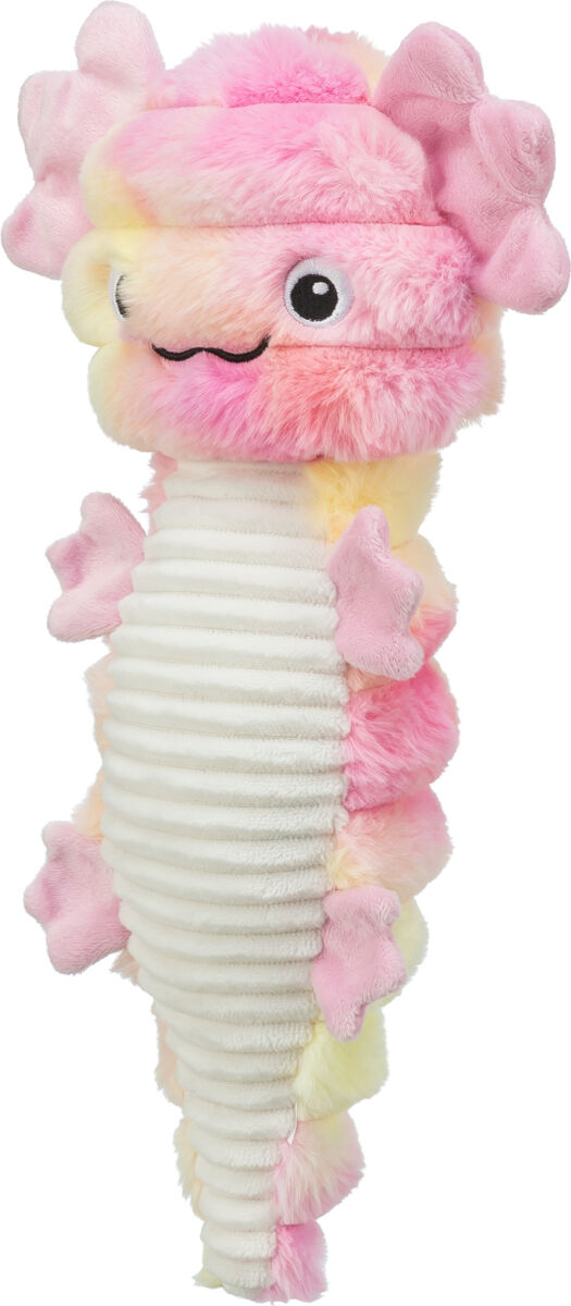 Axolotl