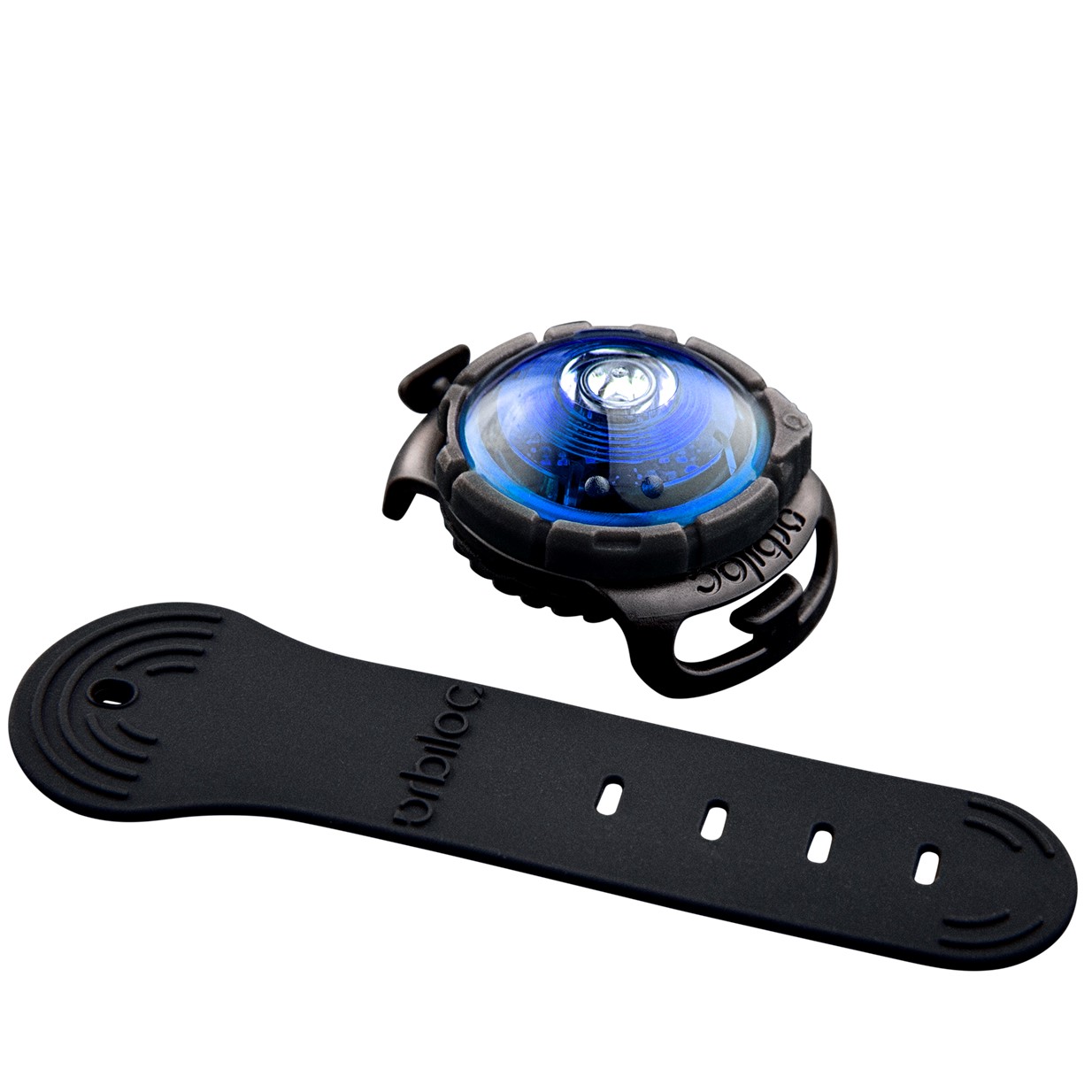 Orbiloc_Dog_Dual_Adjustable-Strap_Blue_exposed_HR Orbiloc Dog-Light blau