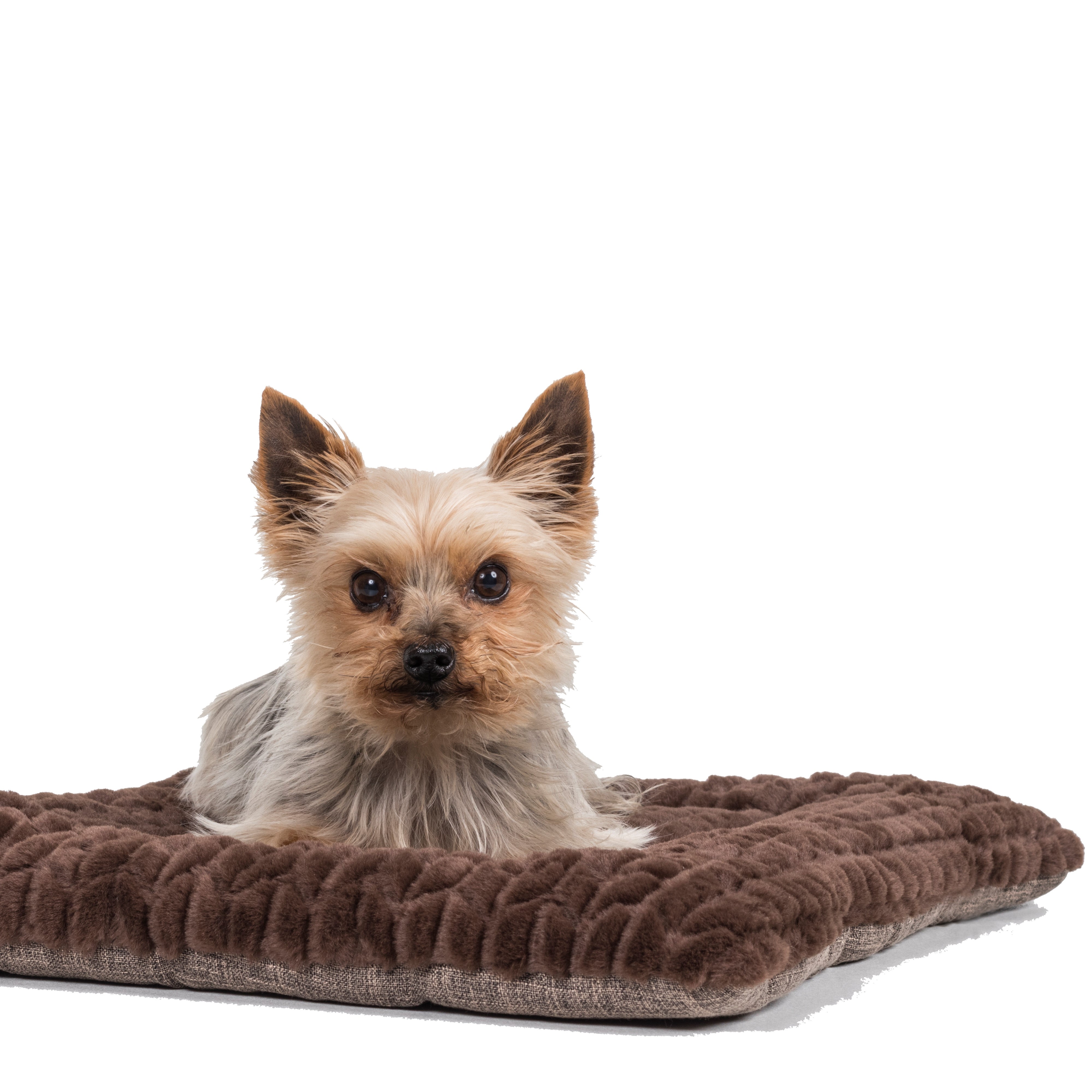 Hundedecke Heaven braun 90x65cm