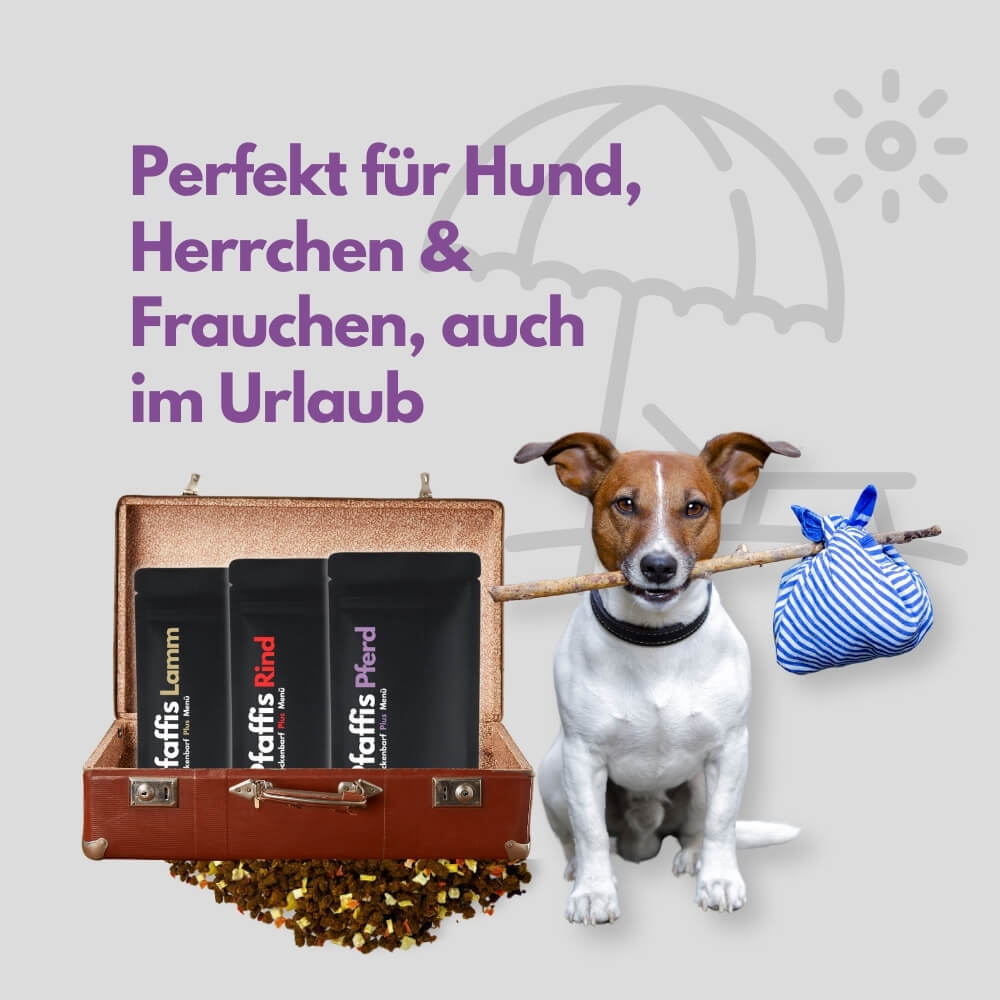 Pfaffis Trockenbarf Plus Geflügel