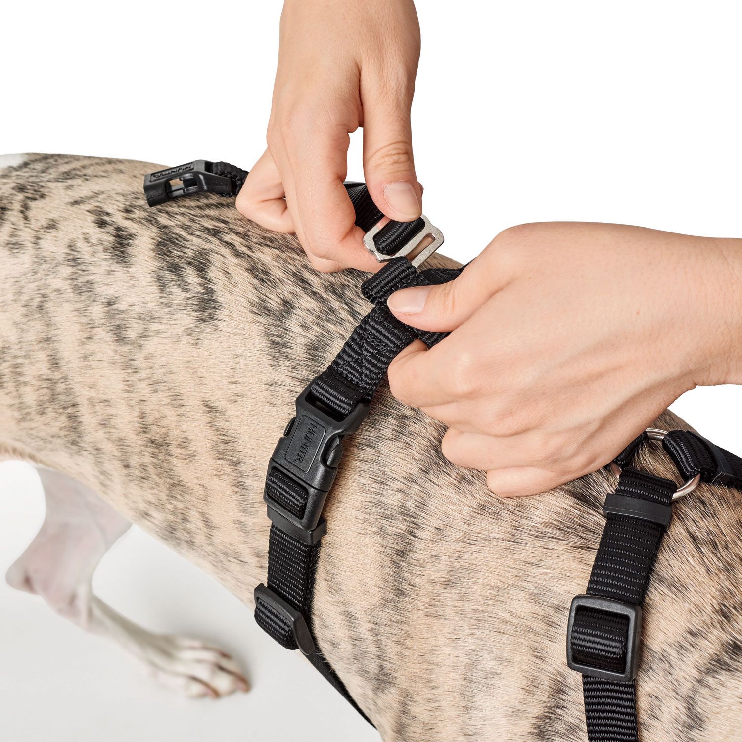 Hunter Sicherheitsgeschirr Vario Rapid