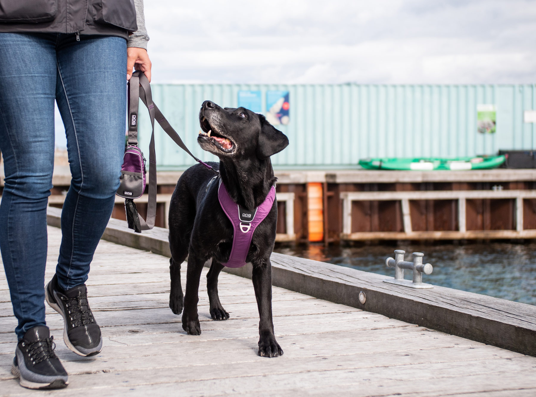 V2 Urban Trail Leash