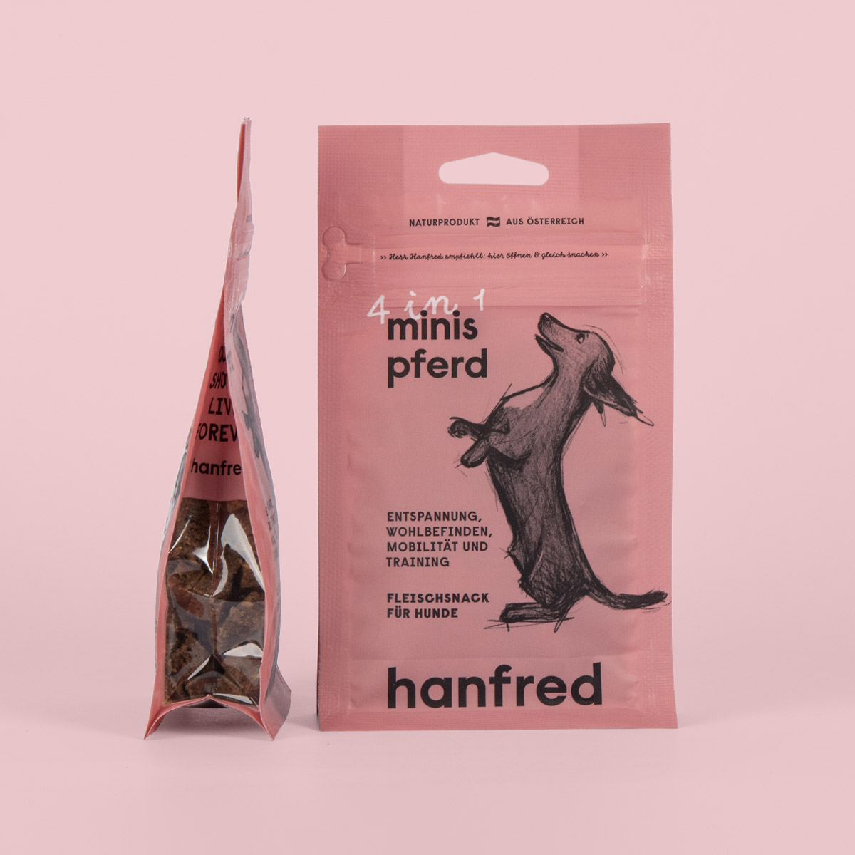 hanfred 4in1 Minis Pferd – Fashionable Edition