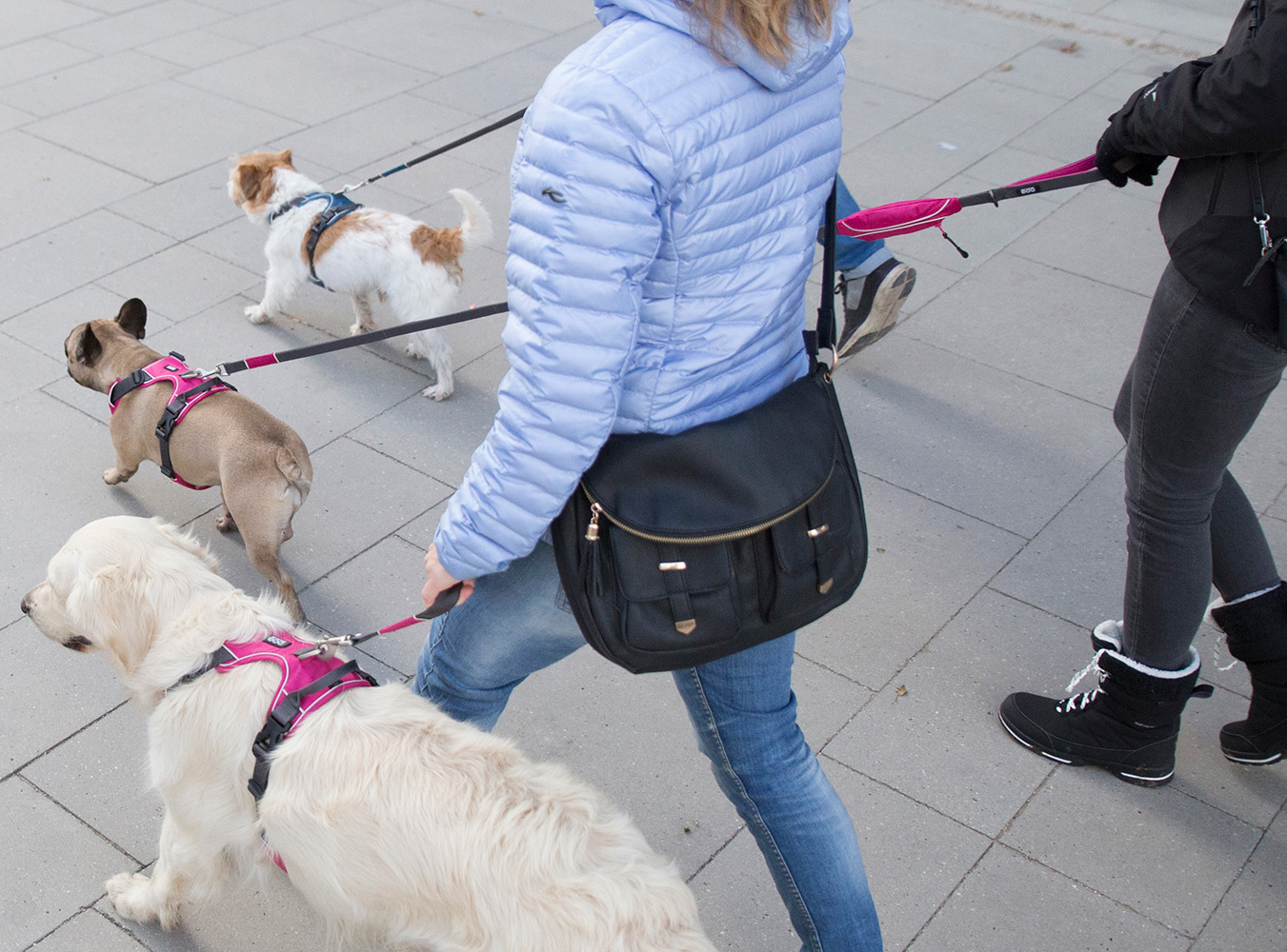 UrbanTrail_1-Outdoor_6280 Urban Trail Leash Wild Rose S (Dog Copenhagen)