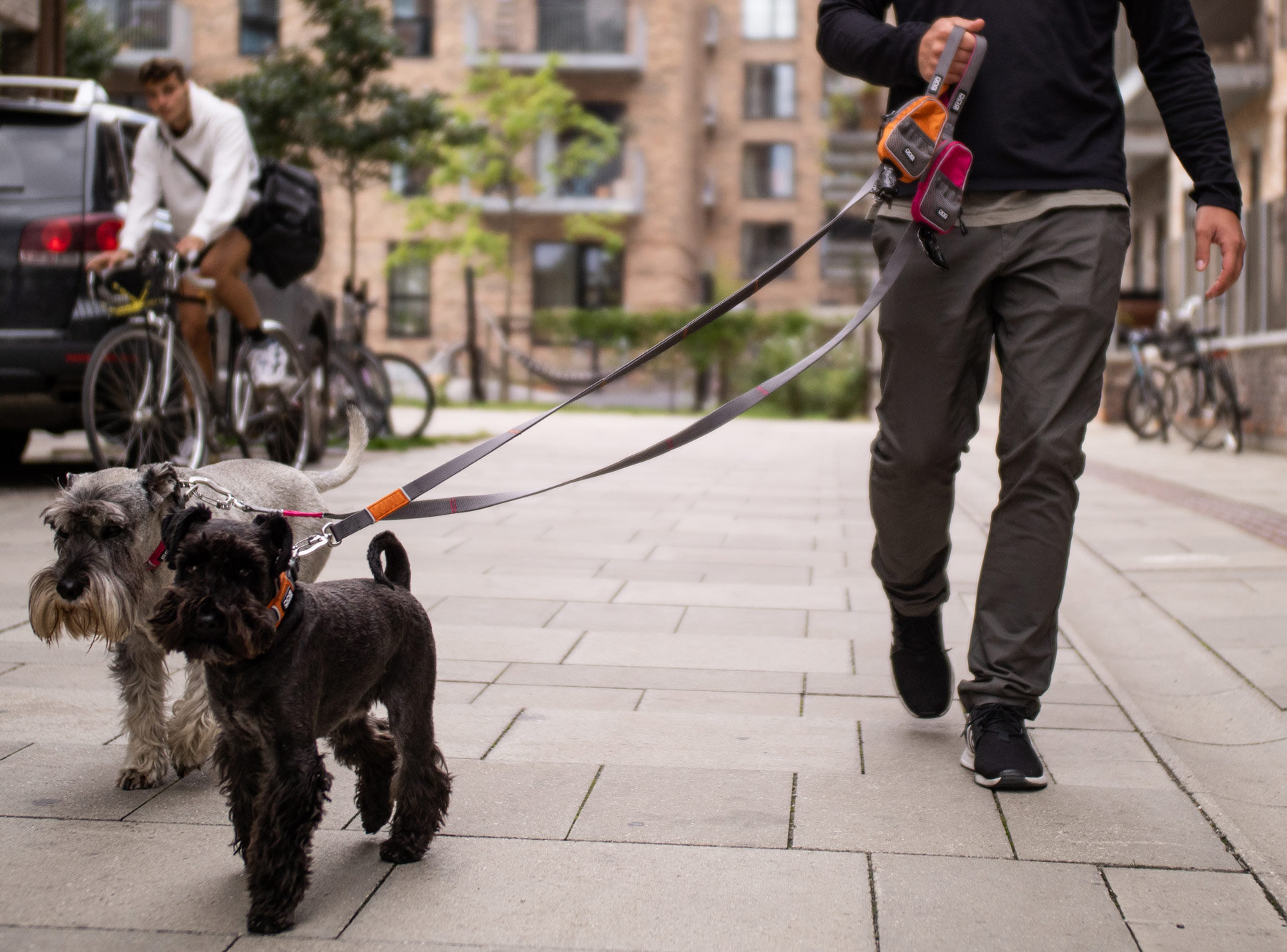 V2 Urban Trail Leash