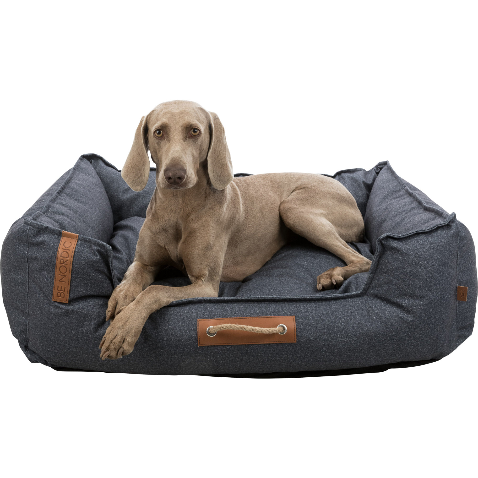 251591_PHO_PRO_DOG_CLIP_37602-1 BE NORDIC Bett Föhr Soft