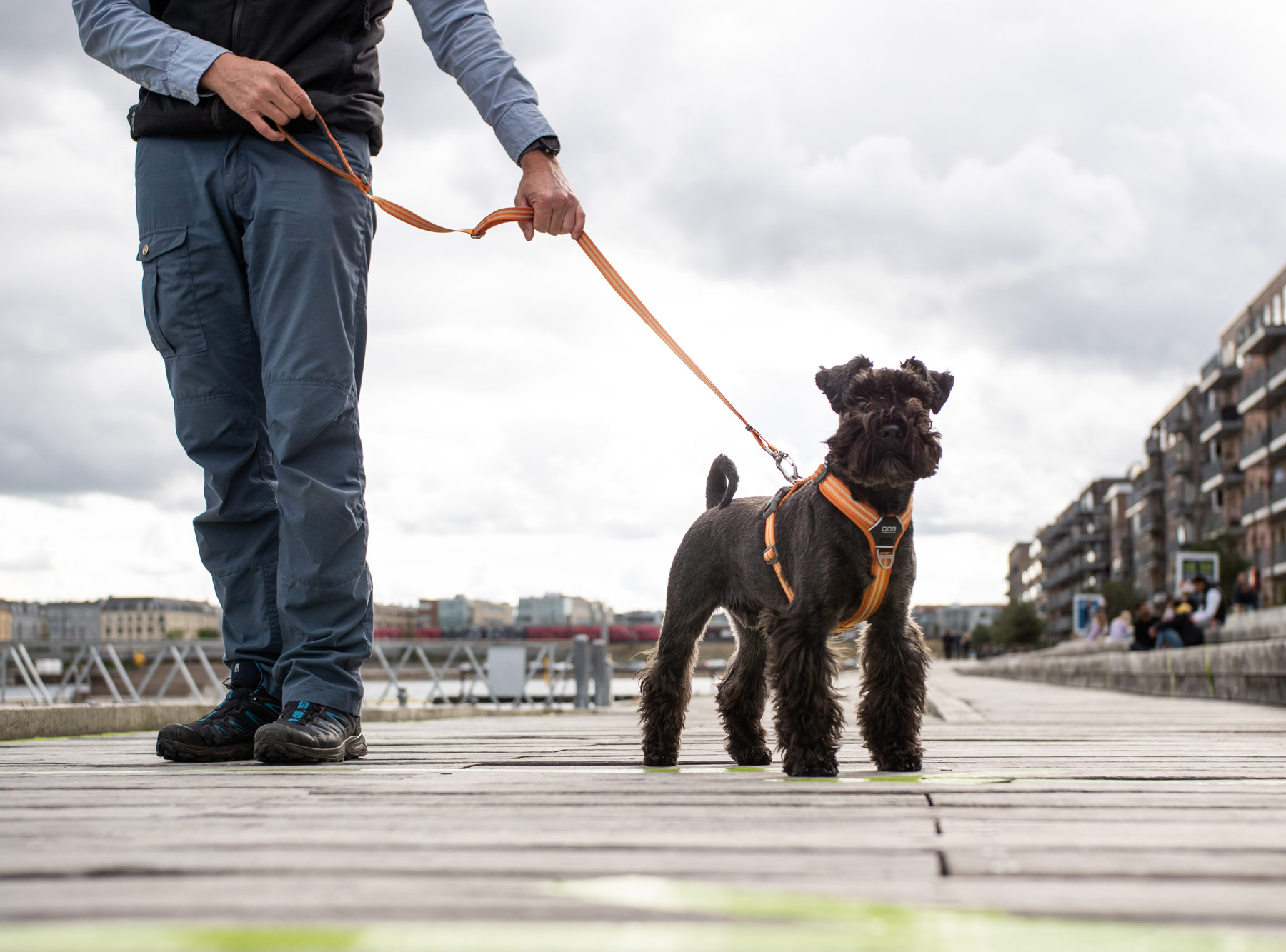 Urban Freestyle Leash Mocca S (Dog Copenhagen)