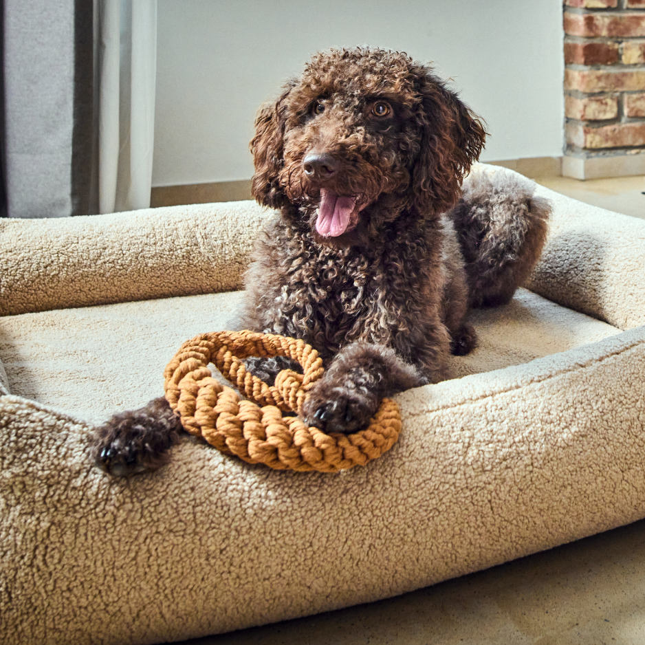 LABONI Britta Brezel