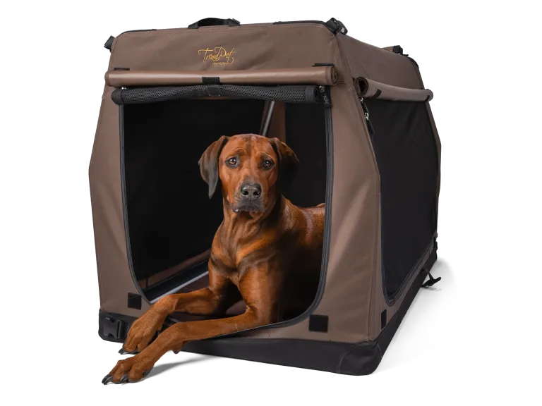 TPX-Pro Hundebox (KEIN VERSAND - nur Abholung möglich)