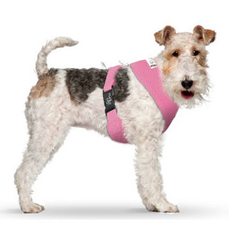 Basic Harness Air-Mesh Light Pink XS