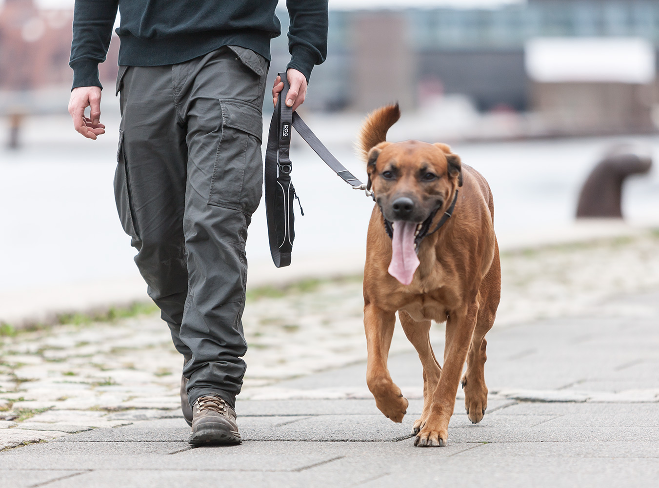 UrbanTrail_1-Outdoor_I1F1312 Urban Trail Leash Wild Rose S (Dog Copenhagen)