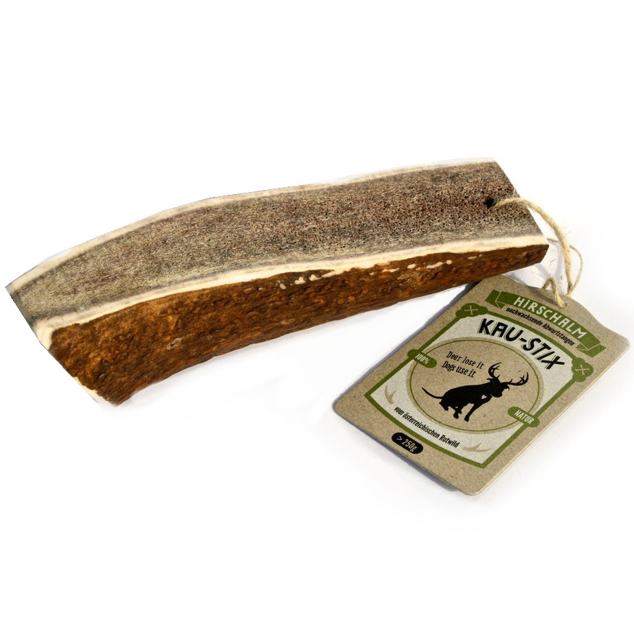 Geweihstück vom Rotwild (halb)