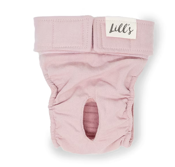 Läufigkeitshöschen aus Bio-Baumwolle „Lou“