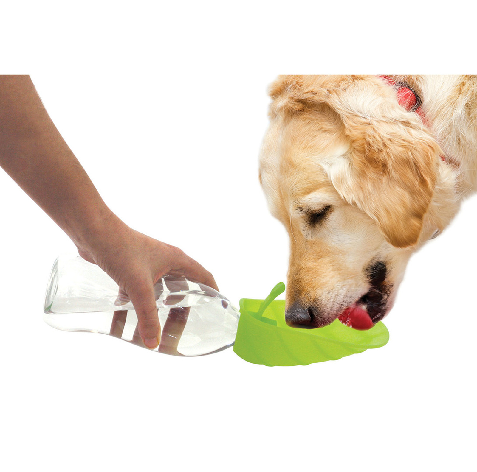 dl0901ve-02-1600 LEAF-Wasserspender 500ml pink