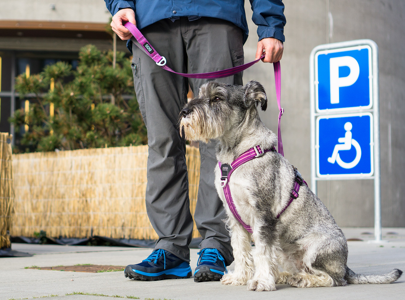 Comfort Walk Air Harness Purple Passion XS (Dog Copenhagen)