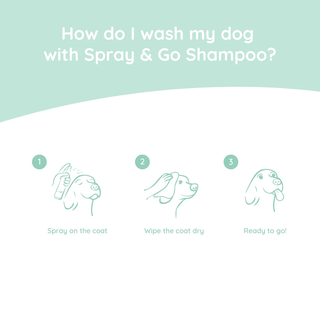Greenfields Spray & Go Shampoo