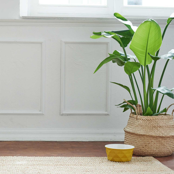 Keramik-Napf Eiby 500ml,gelb