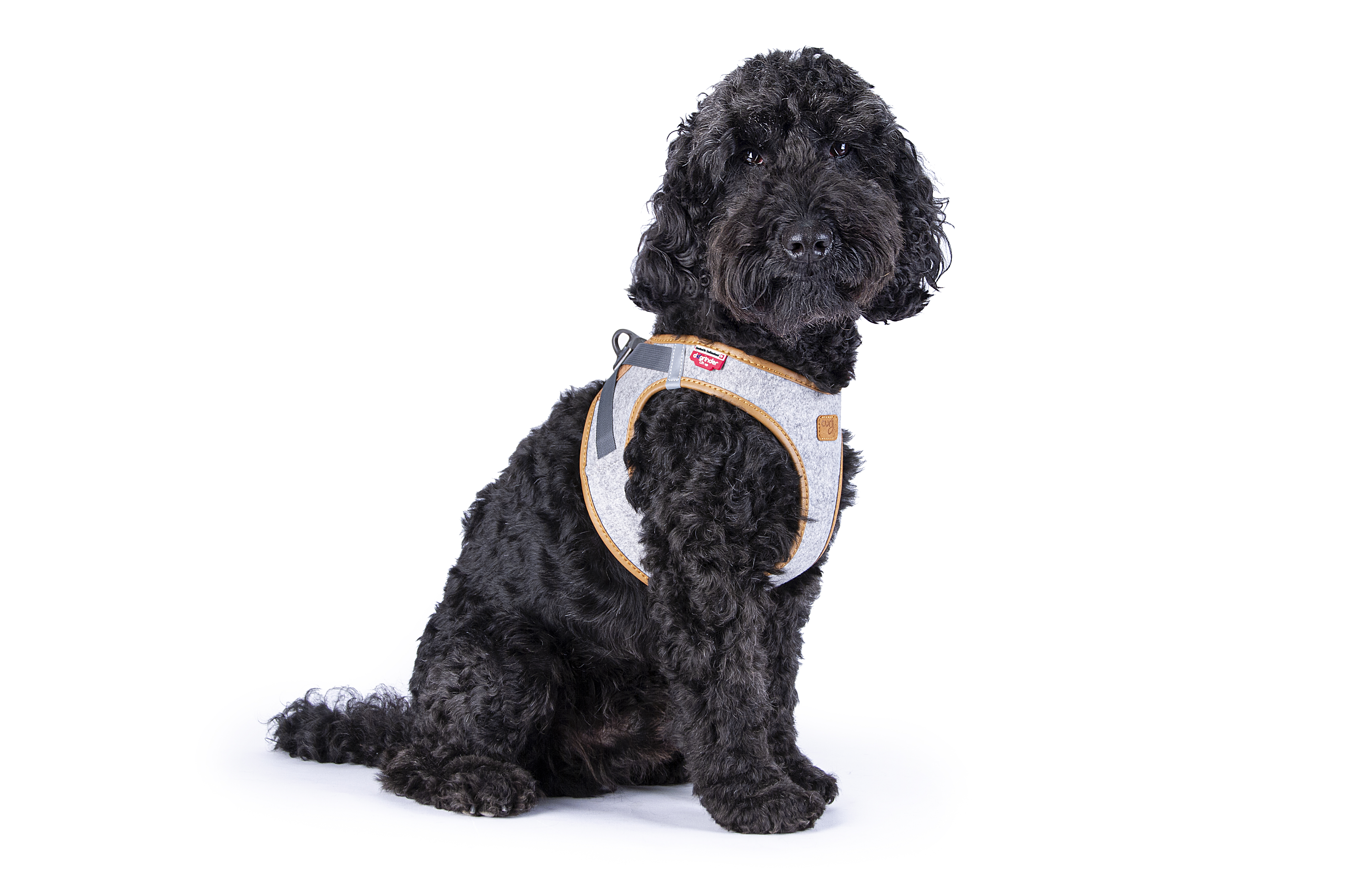 curli Clasp Alpine Grey