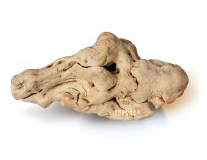 TOORGAS Kauwurzel Gr. XL