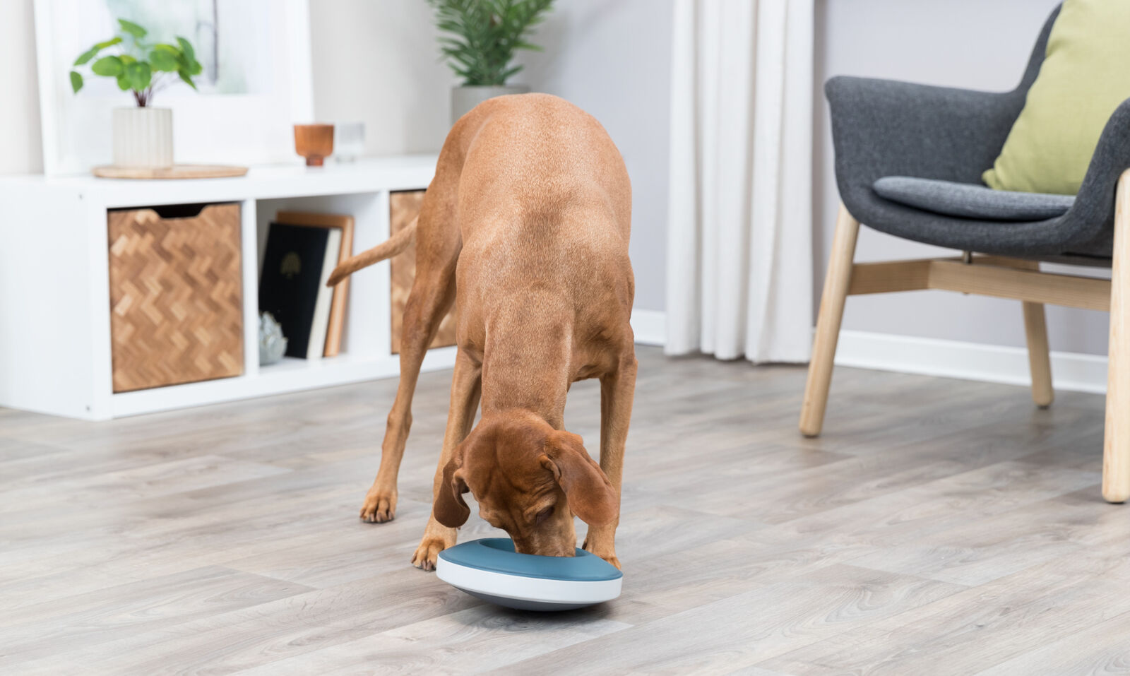 Slow Feeding Napf Rocking Bowl