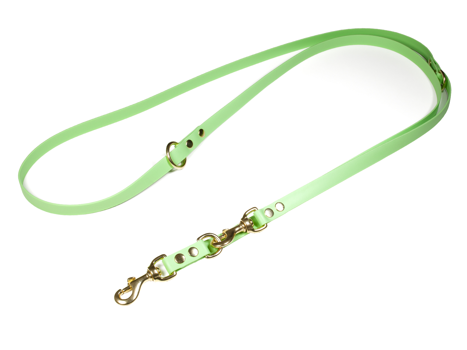 Biothane_adjustable_leash_solid_brass_19mm_pastell_green_big_web Mystique Biothane verstellbare Führleine