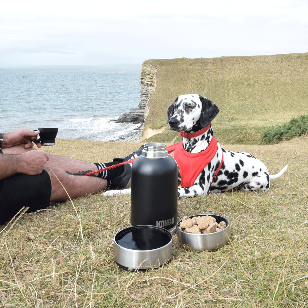 KONG Duo Day Trek XL