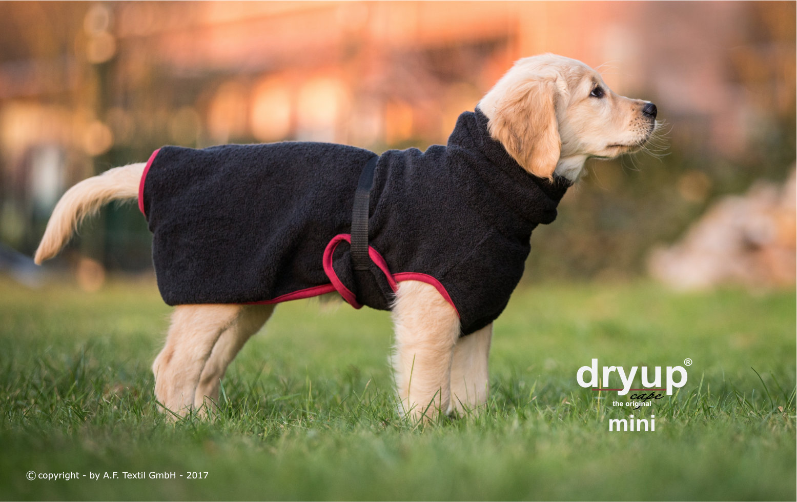 Dryup Cape L 65cm black
