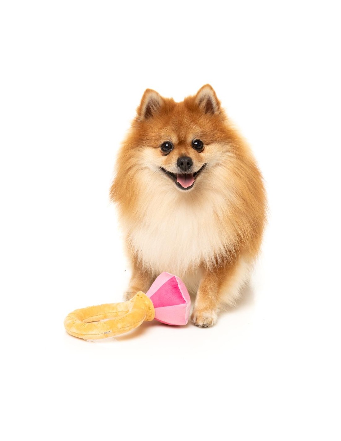 Diamond In The Ruff Ring