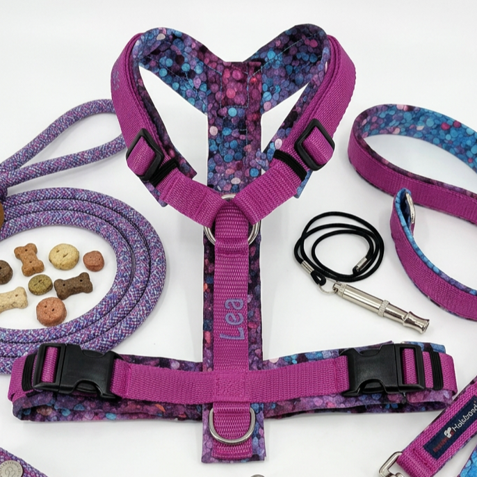 Geschirr Mermaid Sparkle