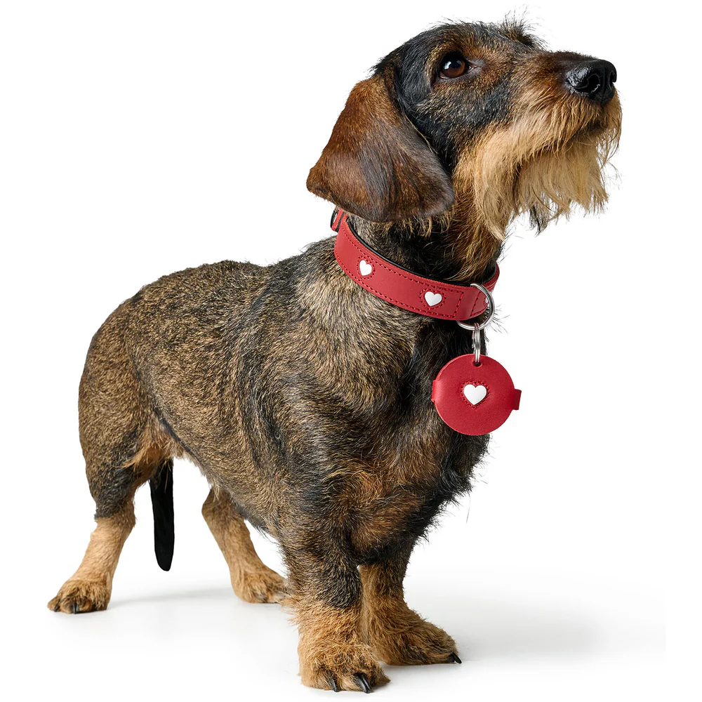 Anhänger Hundemarken-Etui Love