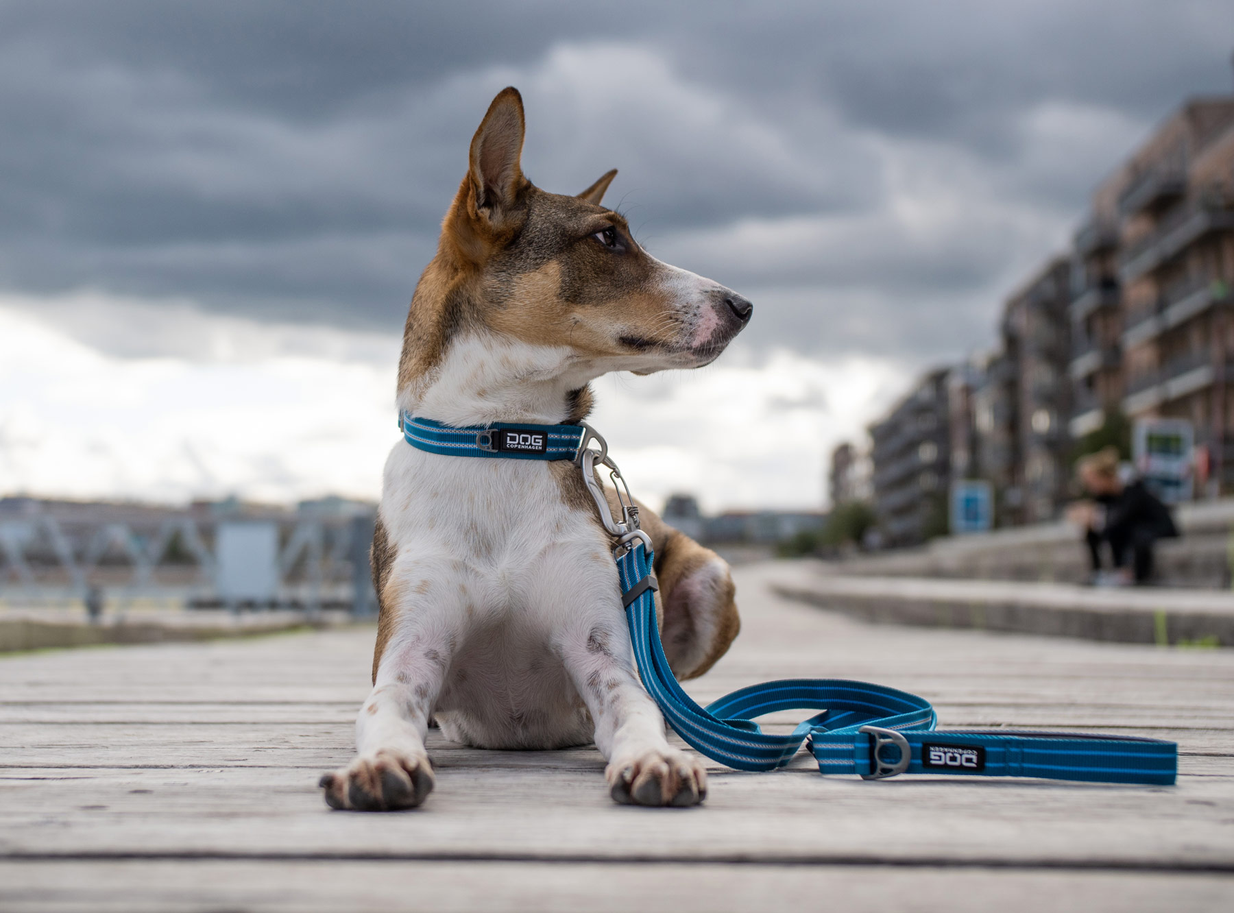 Urban Freestyle Leash Mocca S (Dog Copenhagen)