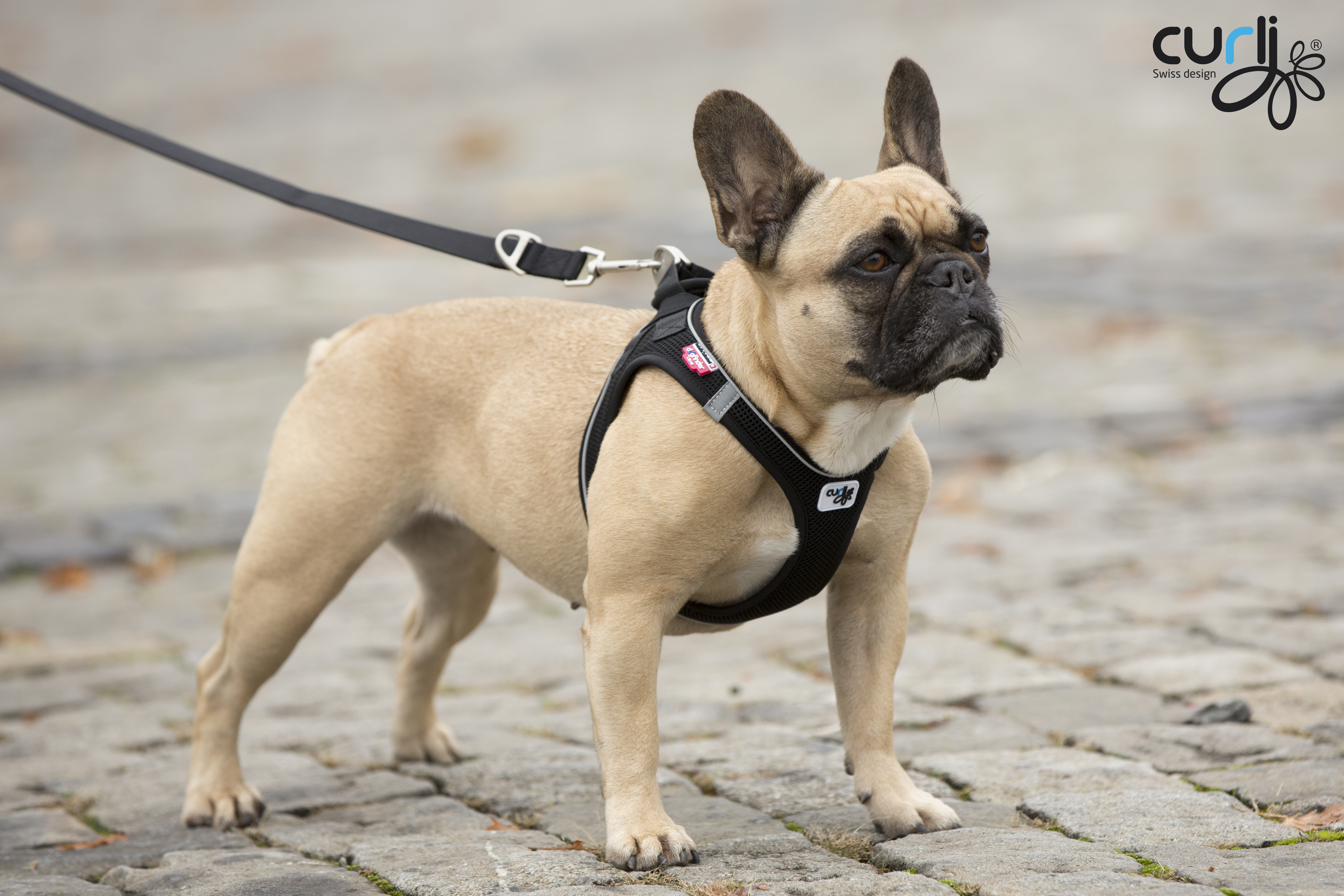 Magnetic Vest Harness Air-Mesh Black XS