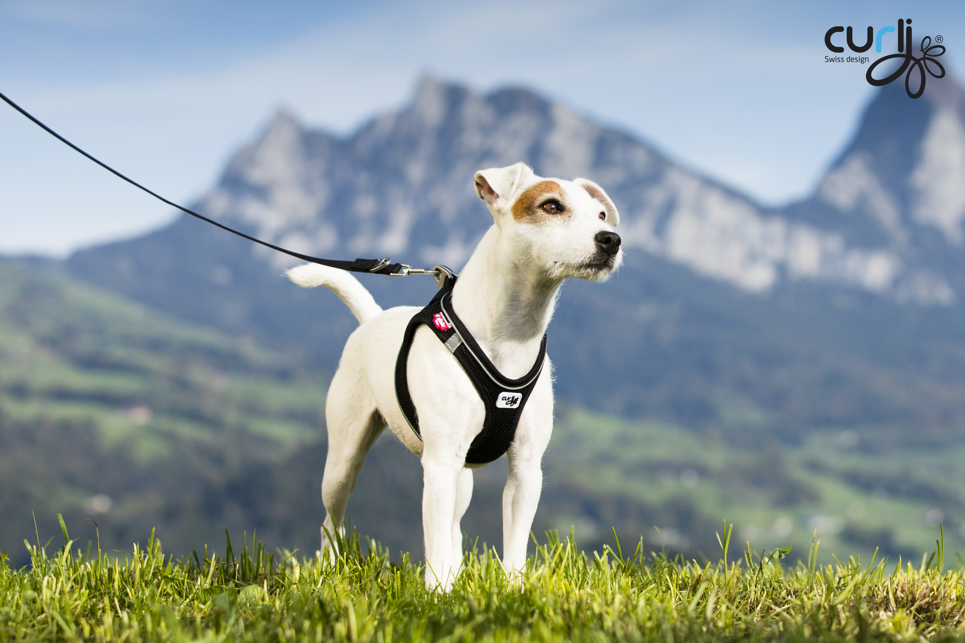 SALE Curli Magnetic Vest Geschirr