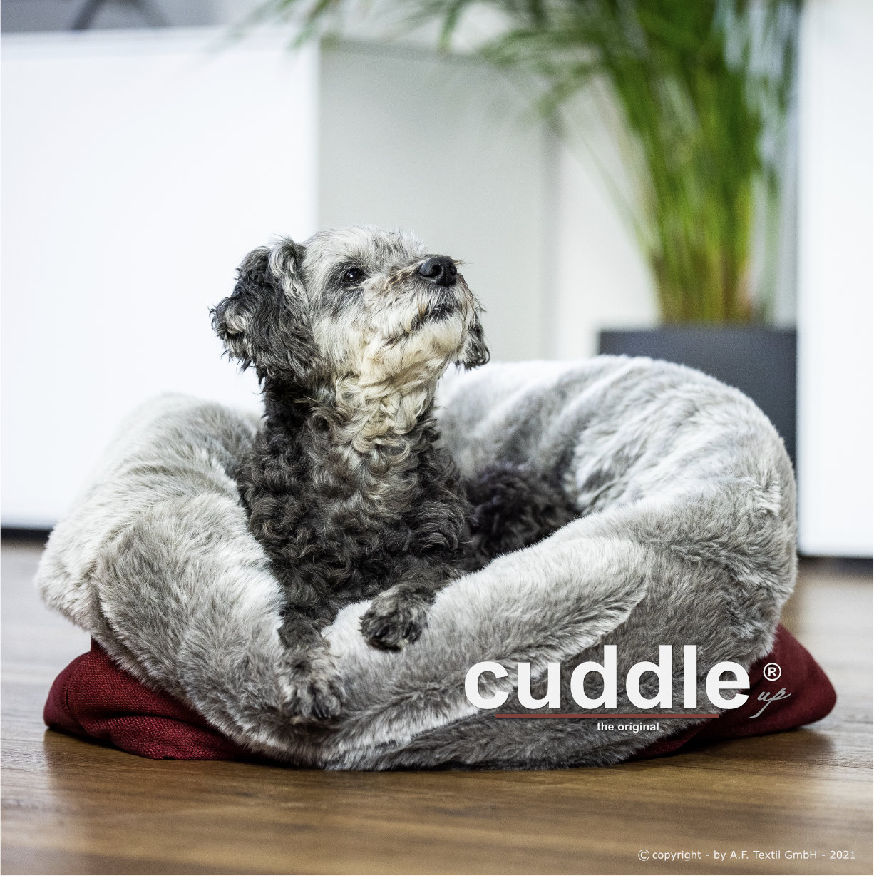 Cuddle Up